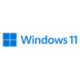 MICROSOFT WINDOWS 11 HOME 64B  ES OEM DVD