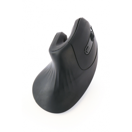 RATON GEMBIRD OPTICO ERGONOMICO 6 BOTONES NEGRO RF INALAMBRICO PILAS