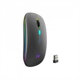 EWENT RATON INALAMBRICO RECARG. DUAL  BT/WIFI, RGB