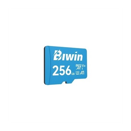 BIWIN MS100 MICROSDXC UHS-1 256GB C10 U3 V30 A1