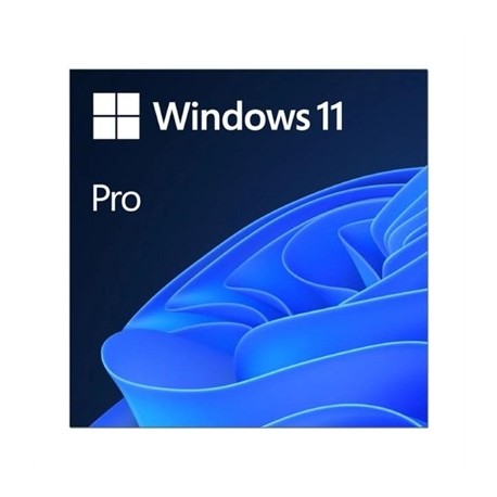 MICROSOFT WINDOWS 11 PRO 64B  ESD