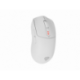 RATON GENESIS GAMING ZIRCON 500 WHITE BLUETOOTH PILAS