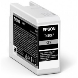 EPSON  SINGLEPACK GRAY T46S7 ULTRACHROME PRO 10 INK 25ML SC-P700