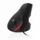 EWENT EW3156 RATON ERGONOMICO USB NEGRO