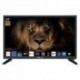 NEVIR 8920 TV 24" HD STV VIDAA 3USB 2HDMI